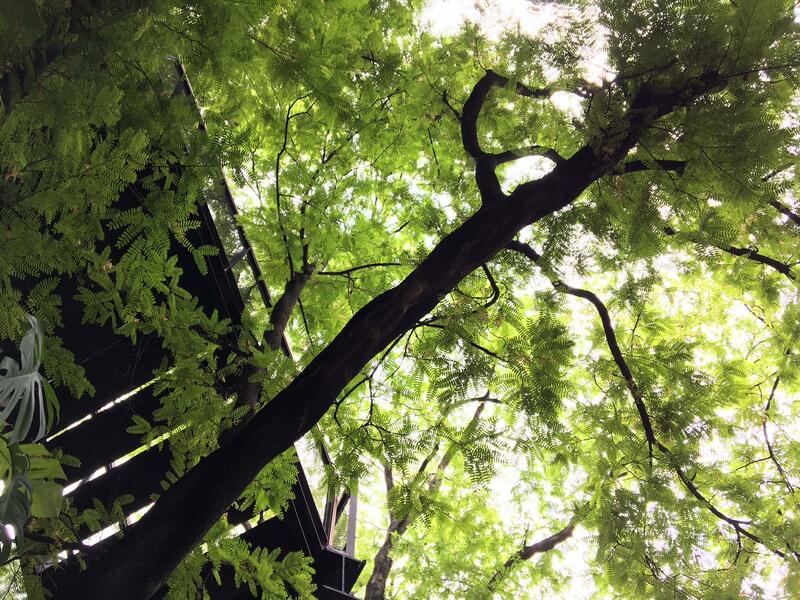 top 12+ ร้าน book cafe' คาเฟ่น่านั่งของคนรักหนังสือ @กรุงเทพฯ