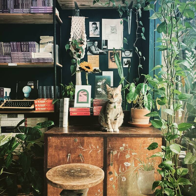 top 12+ ร้าน book cafe' คาเฟ่น่านั่งของคนรักหนังสือ @กรุงเทพฯ