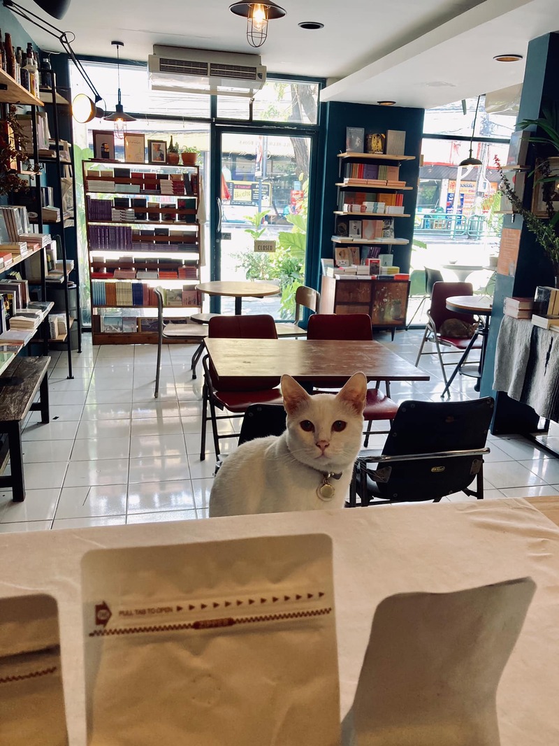 top 12+ ร้าน book cafe' คาเฟ่น่านั่งของคนรักหนังสือ @กรุงเทพฯ