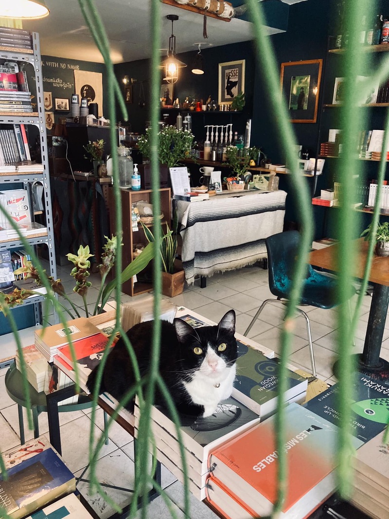 top 12+ ร้าน book cafe' คาเฟ่น่านั่งของคนรักหนังสือ @กรุงเทพฯ