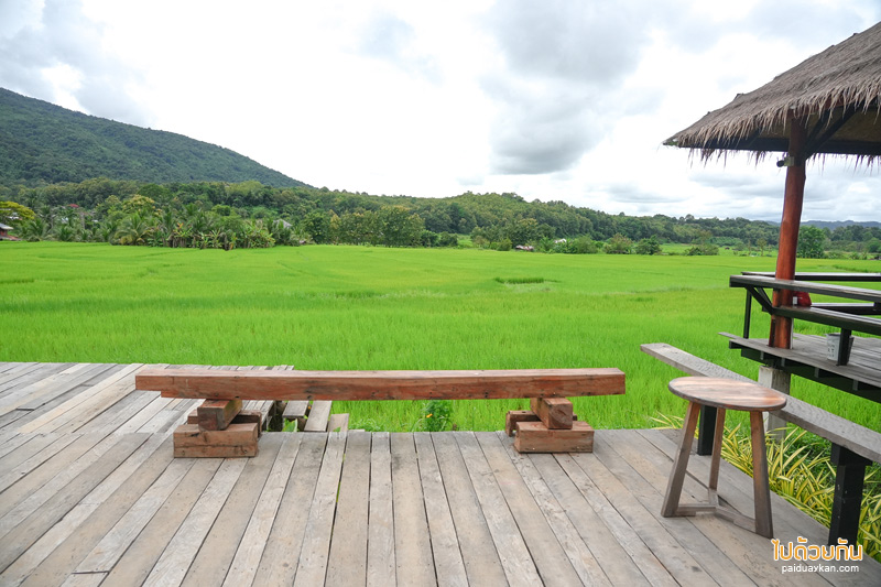 ร้านอาหารปัว, คาเฟ่ปัว, นากอข่อย, นากอข่อย ปัว ร้านอาหารรสชาติอร่อย  ฟีลดีริมทุ่งนา