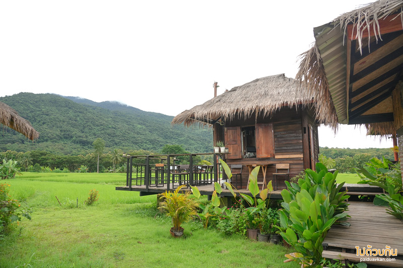 ร้านอาหารปัว, คาเฟ่ปัว, นากอข่อย, นากอข่อย ปัว ร้านอาหารรสชาติอร่อย  ฟีลดีริมทุ่งนา
