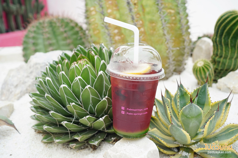 ร้านกาแฟปราณบุรี, คาเฟ่ปราณบุรี, plam springs ปราณบุรี, plam spring คาเฟ่สีขาวสุดมินิมอล ริมปากน้ำปราณ