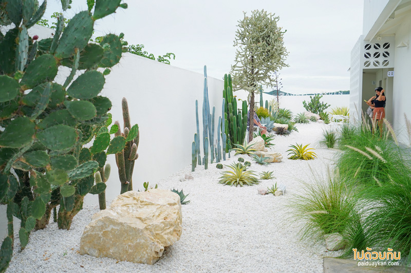 ร้านกาแฟปราณบุรี, คาเฟ่ปราณบุรี, plam springs ปราณบุรี, plam spring คาเฟ่สีขาวสุดมินิมอล ริมปากน้ำปราณ