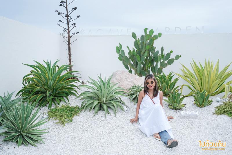 ร้านกาแฟปราณบุรี, คาเฟ่ปราณบุรี, plam springs ปราณบุรี, plam spring คาเฟ่สีขาวสุดมินิมอล ริมปากน้ำปราณ