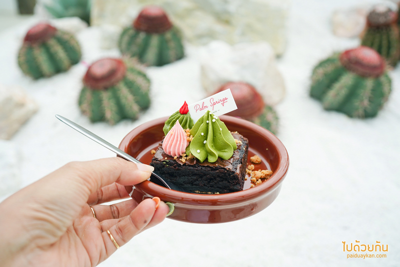 ร้านกาแฟปราณบุรี, คาเฟ่ปราณบุรี, plam springs ปราณบุรี, plam spring คาเฟ่สีขาวสุดมินิมอล ริมปากน้ำปราณ