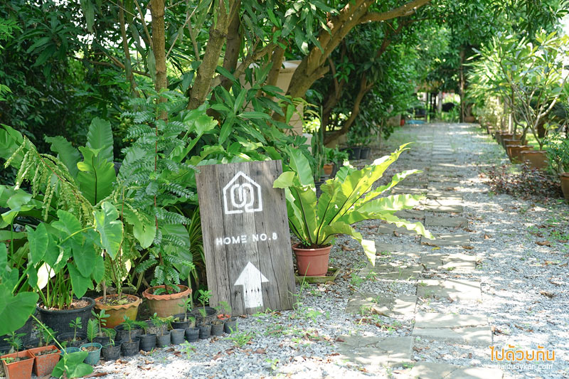 คาเฟ่นครปฐม, คาเฟ่นครชัยศรี, home-no-eight, บ้านเลขที่8, คาเฟ่ริมน้ำนครปฐม, home no.eight บ้านเลขที่8 คาเฟ่บ้านไม้ริมน้ำสุดโฮมมี่