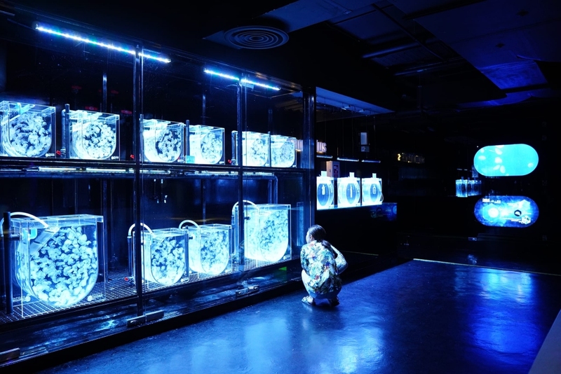 aquaria phuket, aquariaphuket, banana beach, blackrock, blackrockviewpoint, hanuman world, honeymoon island, katabeach, maikhaobeach, nuibeach, phuket, phuket fantasea, phuket old town, phuketfantasea, streetartภูเก็ต, tiger kingdom phuket, จุดชมวิวผาหินดำ, จุดชมวิวเขารัง, ตลาดอาหารทะเล ภูเก็ต, ตลาดอาหารทะเล ราไวย์, ท่องเที่ยวภูเก็ต, ที่เที่ยวภูเก็ต, ที่เที่ยวภูเก็ต 2024, ที่เที่ยวภูเก็ต 2567, น้ำตกโตนไทร, ประภาคารกาญจนาภิเษก, ป่าตอง, ผาหินดำ, พระผุด ภูเก็ต, พระมิ่งมงคลเอกนาคคีรี, พระใหญ่ภูเก็ต, พระใหญ่เมืองภูเก็ต, พิพิธภัณฑ์สัตว์น้ำ, ภูเก็ต, ภูเก็ต 2024, ภูเก็ต 2567, ภูเก็ตแฟนตาซี, มหัศจรรย์กมลา, ย่านเมืองเก่าภูเก็ต, วัดพระทอง, วัดพระผุด, สวนเสือภูเก็ต, หนุมานเวิลด์, หาดกล้วย, หาดกะตะ, หาดนุ้ย, หาดป่าตอง, หาดไม้ขาว, อควาเรียภูเก็ต, อควาเรียม ภูเก็ต, เกาะรูปหัวใจ ภูเก็ต, เกาะเฮ, เกาะแก้วพิศดาร, เกาะแก้วใหญ่, เกาะไม้ท่อน, เขารัง, เที่ยวภูเก็ต, เที่ยวภูเก็ต 2024, เที่ยวภูเก็ต 2567, แหลมพรหมเทพ, top 20+ ที่เที่ยวภูเก็ต [กรกฎาคม 2024] สวรรค์ของคนรักทะเล เมืองแห่งไข่มุกอันดามันและธรรมชาติอันงดงาม