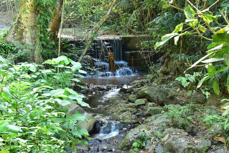 aquaria phuket, aquariaphuket, banana beach, blackrock, blackrockviewpoint, hanuman world, honeymoon island, katabeach, maikhaobeach, nuibeach, phuket, phuket fantasea, phuket old town, phuketfantasea, streetartภูเก็ต, tiger kingdom phuket, จุดชมวิวผาหินดำ, จุดชมวิวเขารัง, ตลาดอาหารทะเล ภูเก็ต, ตลาดอาหารทะเล ราไวย์, ท่องเที่ยวภูเก็ต, ที่เที่ยวภูเก็ต, ที่เที่ยวภูเก็ต 2024, ที่เที่ยวภูเก็ต 2567, น้ำตกโตนไทร, ประภาคารกาญจนาภิเษก, ป่าตอง, ผาหินดำ, พระผุด ภูเก็ต, พระมิ่งมงคลเอกนาคคีรี, พระใหญ่ภูเก็ต, พระใหญ่เมืองภูเก็ต, พิพิธภัณฑ์สัตว์น้ำ, ภูเก็ต, ภูเก็ต 2024, ภูเก็ต 2567, ภูเก็ตแฟนตาซี, มหัศจรรย์กมลา, ย่านเมืองเก่าภูเก็ต, วัดพระทอง, วัดพระผุด, สวนเสือภูเก็ต, หนุมานเวิลด์, หาดกล้วย, หาดกะตะ, หาดนุ้ย, หาดป่าตอง, หาดไม้ขาว, อควาเรียภูเก็ต, อควาเรียม ภูเก็ต, เกาะรูปหัวใจ ภูเก็ต, เกาะเฮ, เกาะแก้วพิศดาร, เกาะแก้วใหญ่, เกาะไม้ท่อน, เขารัง, เที่ยวภูเก็ต, เที่ยวภูเก็ต 2024, เที่ยวภูเก็ต 2567, แหลมพรหมเทพ, top 20+ ที่เที่ยวภูเก็ต [กรกฎาคม 2024] สวรรค์ของคนรักทะเล เมืองแห่งไข่มุกอันดามันและธรรมชาติอันงดงาม