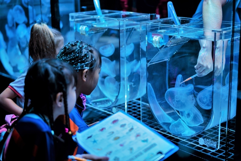 aquaria phuket, aquariaphuket, banana beach, blackrock, blackrockviewpoint, hanuman world, honeymoon island, katabeach, maikhaobeach, nuibeach, phuket, phuket fantasea, phuket old town, phuketfantasea, streetartภูเก็ต, tiger kingdom phuket, จุดชมวิวผาหินดำ, จุดชมวิวเขารัง, ตลาดอาหารทะเล ภูเก็ต, ตลาดอาหารทะเล ราไวย์, ท่องเที่ยวภูเก็ต, ที่เที่ยวภูเก็ต, ที่เที่ยวภูเก็ต 2024, ที่เที่ยวภูเก็ต 2567, น้ำตกโตนไทร, ประภาคารกาญจนาภิเษก, ป่าตอง, ผาหินดำ, พระผุด ภูเก็ต, พระมิ่งมงคลเอกนาคคีรี, พระใหญ่ภูเก็ต, พระใหญ่เมืองภูเก็ต, พิพิธภัณฑ์สัตว์น้ำ, ภูเก็ต, ภูเก็ต 2024, ภูเก็ต 2567, ภูเก็ตแฟนตาซี, มหัศจรรย์กมลา, ย่านเมืองเก่าภูเก็ต, วัดพระทอง, วัดพระผุด, สวนเสือภูเก็ต, หนุมานเวิลด์, หาดกล้วย, หาดกะตะ, หาดนุ้ย, หาดป่าตอง, หาดไม้ขาว, อควาเรียภูเก็ต, อควาเรียม ภูเก็ต, เกาะรูปหัวใจ ภูเก็ต, เกาะเฮ, เกาะแก้วพิศดาร, เกาะแก้วใหญ่, เกาะไม้ท่อน, เขารัง, เที่ยวภูเก็ต, เที่ยวภูเก็ต 2024, เที่ยวภูเก็ต 2567, แหลมพรหมเทพ, top 20+ ที่เที่ยวภูเก็ต [กรกฎาคม 2024] สวรรค์ของคนรักทะเล เมืองแห่งไข่มุกอันดามันและธรรมชาติอันงดงาม