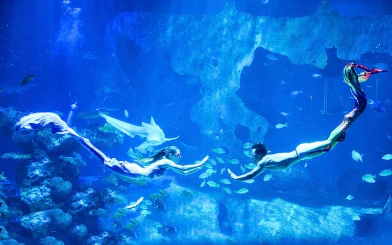 aquaria phuket, aquariaphuket, banana beach, blackrock, blackrockviewpoint, hanuman world, honeymoon island, katabeach, maikhaobeach, nuibeach, phuket, phuket fantasea, phuket old town, phuketfantasea, streetartภูเก็ต, tiger kingdom phuket, จุดชมวิวผาหินดำ, จุดชมวิวเขารัง, ตลาดอาหารทะเล ภูเก็ต, ตลาดอาหารทะเล ราไวย์, ท่องเที่ยวภูเก็ต, ที่เที่ยวภูเก็ต, ที่เที่ยวภูเก็ต 2024, ที่เที่ยวภูเก็ต 2567, น้ำตกโตนไทร, ประภาคารกาญจนาภิเษก, ป่าตอง, ผาหินดำ, พระผุด ภูเก็ต, พระมิ่งมงคลเอกนาคคีรี, พระใหญ่ภูเก็ต, พระใหญ่เมืองภูเก็ต, พิพิธภัณฑ์สัตว์น้ำ, ภูเก็ต, ภูเก็ต 2024, ภูเก็ต 2567, ภูเก็ตแฟนตาซี, มหัศจรรย์กมลา, ย่านเมืองเก่าภูเก็ต, วัดพระทอง, วัดพระผุด, สวนเสือภูเก็ต, หนุมานเวิลด์, หาดกล้วย, หาดกะตะ, หาดนุ้ย, หาดป่าตอง, หาดไม้ขาว, อควาเรียภูเก็ต, อควาเรียม ภูเก็ต, เกาะรูปหัวใจ ภูเก็ต, เกาะเฮ, เกาะแก้วพิศดาร, เกาะแก้วใหญ่, เกาะไม้ท่อน, เขารัง, เที่ยวภูเก็ต, เที่ยวภูเก็ต 2024, เที่ยวภูเก็ต 2567, แหลมพรหมเทพ, top 20+ ที่เที่ยวภูเก็ต [กรกฎาคม 2024] สวรรค์ของคนรักทะเล เมืองแห่งไข่มุกอันดามันและธรรมชาติอันงดงาม