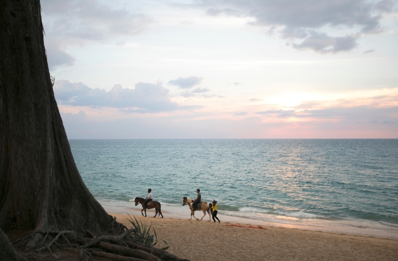 aquaria phuket, aquariaphuket, banana beach, blackrock, blackrockviewpoint, hanuman world, honeymoon island, katabeach, maikhaobeach, nuibeach, phuket, phuket fantasea, phuket old town, phuketfantasea, streetartภูเก็ต, tiger kingdom phuket, จุดชมวิวผาหินดำ, จุดชมวิวเขารัง, ตลาดอาหารทะเล ภูเก็ต, ตลาดอาหารทะเล ราไวย์, ท่องเที่ยวภูเก็ต, ที่เที่ยวภูเก็ต, ที่เที่ยวภูเก็ต 2024, ที่เที่ยวภูเก็ต 2567, น้ำตกโตนไทร, ประภาคารกาญจนาภิเษก, ป่าตอง, ผาหินดำ, พระผุด ภูเก็ต, พระมิ่งมงคลเอกนาคคีรี, พระใหญ่ภูเก็ต, พระใหญ่เมืองภูเก็ต, พิพิธภัณฑ์สัตว์น้ำ, ภูเก็ต, ภูเก็ต 2024, ภูเก็ต 2567, ภูเก็ตแฟนตาซี, มหัศจรรย์กมลา, ย่านเมืองเก่าภูเก็ต, วัดพระทอง, วัดพระผุด, สวนเสือภูเก็ต, หนุมานเวิลด์, หาดกล้วย, หาดกะตะ, หาดนุ้ย, หาดป่าตอง, หาดไม้ขาว, อควาเรียภูเก็ต, อควาเรียม ภูเก็ต, เกาะรูปหัวใจ ภูเก็ต, เกาะเฮ, เกาะแก้วพิศดาร, เกาะแก้วใหญ่, เกาะไม้ท่อน, เขารัง, เที่ยวภูเก็ต, เที่ยวภูเก็ต 2024, เที่ยวภูเก็ต 2567, แหลมพรหมเทพ, top 20+ ที่เที่ยวภูเก็ต [กรกฎาคม 2024] สวรรค์ของคนรักทะเล เมืองแห่งไข่มุกอันดามันและธรรมชาติอันงดงาม