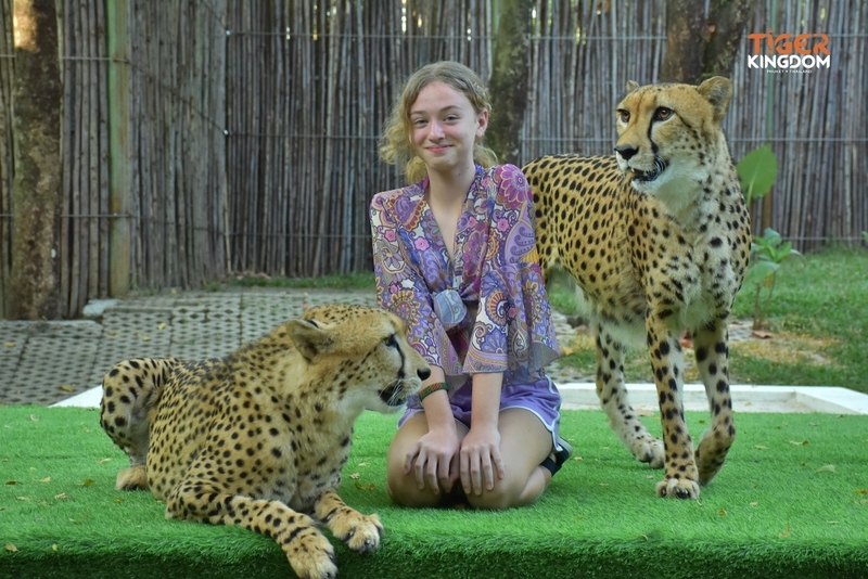 aquaria phuket, aquariaphuket, banana beach, blackrock, blackrockviewpoint, hanuman world, honeymoon island, katabeach, maikhaobeach, nuibeach, phuket, phuket fantasea, phuket old town, phuketfantasea, streetartภูเก็ต, tiger kingdom phuket, จุดชมวิวผาหินดำ, จุดชมวิวเขารัง, ตลาดอาหารทะเล ภูเก็ต, ตลาดอาหารทะเล ราไวย์, ท่องเที่ยวภูเก็ต, ที่เที่ยวภูเก็ต, ที่เที่ยวภูเก็ต 2024, ที่เที่ยวภูเก็ต 2567, น้ำตกโตนไทร, ประภาคารกาญจนาภิเษก, ป่าตอง, ผาหินดำ, พระผุด ภูเก็ต, พระมิ่งมงคลเอกนาคคีรี, พระใหญ่ภูเก็ต, พระใหญ่เมืองภูเก็ต, พิพิธภัณฑ์สัตว์น้ำ, ภูเก็ต, ภูเก็ต 2024, ภูเก็ต 2567, ภูเก็ตแฟนตาซี, มหัศจรรย์กมลา, ย่านเมืองเก่าภูเก็ต, วัดพระทอง, วัดพระผุด, สวนเสือภูเก็ต, หนุมานเวิลด์, หาดกล้วย, หาดกะตะ, หาดนุ้ย, หาดป่าตอง, หาดไม้ขาว, อควาเรียภูเก็ต, อควาเรียม ภูเก็ต, เกาะรูปหัวใจ ภูเก็ต, เกาะเฮ, เกาะแก้วพิศดาร, เกาะแก้วใหญ่, เกาะไม้ท่อน, เขารัง, เที่ยวภูเก็ต, เที่ยวภูเก็ต 2024, เที่ยวภูเก็ต 2567, แหลมพรหมเทพ, top 20+ ที่เที่ยวภูเก็ต [กรกฎาคม 2024] สวรรค์ของคนรักทะเล เมืองแห่งไข่มุกอันดามันและธรรมชาติอันงดงาม