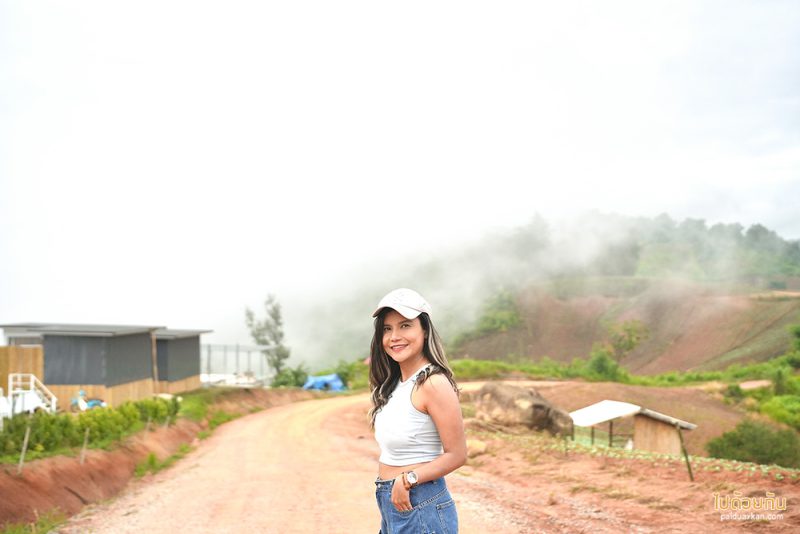 ภูทับเบิก, the world ภูทับเบิก, บ้านกระจกภูทับเบิก, ที่พักภูทับเบิก, the world พักบ้านกระจกภูทับเบิก มีอ่างอาบน้ำ วิวภูเขา สายหมอก