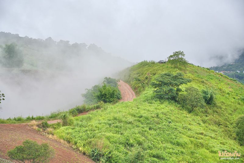 ภูทับเบิก, the world ภูทับเบิก, บ้านกระจกภูทับเบิก, ที่พักภูทับเบิก, the world พักบ้านกระจกภูทับเบิก มีอ่างอาบน้ำ วิวภูเขา สายหมอก