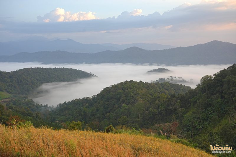 อิงเขา แคมป์ปิ้ง, ดอยม่อนเงาะ, ม่อนเงาะ, เที่ยวแม่แตง, ที่พักม่อนเงาะ, อิงเขาแคมป์ปิ้งวิว ม่อนเงาะ วิวสวย มีอ่างน้ำ ชมหมอกสุดปัง