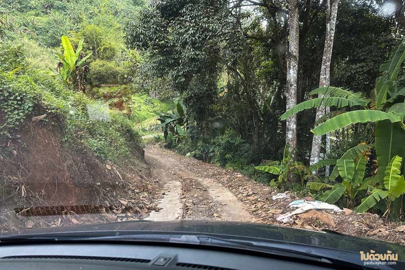 อิงเขา แคมป์ปิ้ง, ดอยม่อนเงาะ, ม่อนเงาะ, เที่ยวแม่แตง, ที่พักม่อนเงาะ, อิงเขาแคมป์ปิ้งวิว ม่อนเงาะ วิวสวย มีอ่างน้ำ ชมหมอกสุดปัง