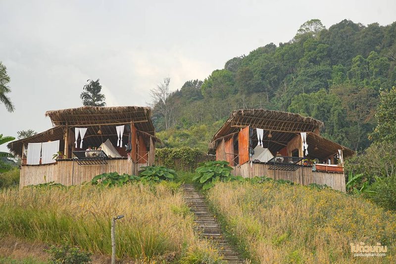 อิงเขา แคมป์ปิ้ง, ดอยม่อนเงาะ, ม่อนเงาะ, เที่ยวแม่แตง, ที่พักม่อนเงาะ, อิงเขาแคมป์ปิ้งวิว ม่อนเงาะ วิวสวย มีอ่างน้ำ ชมหมอกสุดปัง