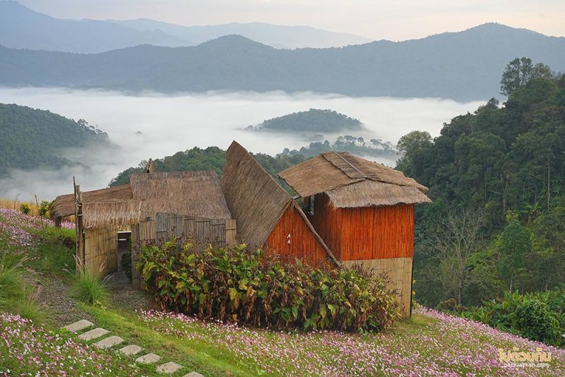 อิงเขา แคมป์ปิ้ง, ดอยม่อนเงาะ, ม่อนเงาะ, เที่ยวแม่แตง, ที่พักม่อนเงาะ, อิงเขาแคมป์ปิ้งวิว ม่อนเงาะ วิวสวย มีอ่างน้ำ ชมหมอกสุดปัง