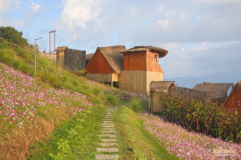 อิงเขา แคมป์ปิ้ง, ดอยม่อนเงาะ, ม่อนเงาะ, เที่ยวแม่แตง, ที่พักม่อนเงาะ, อิงเขาแคมป์ปิ้งวิว ม่อนเงาะ วิวสวย มีอ่างน้ำ ชมหมอกสุดปัง