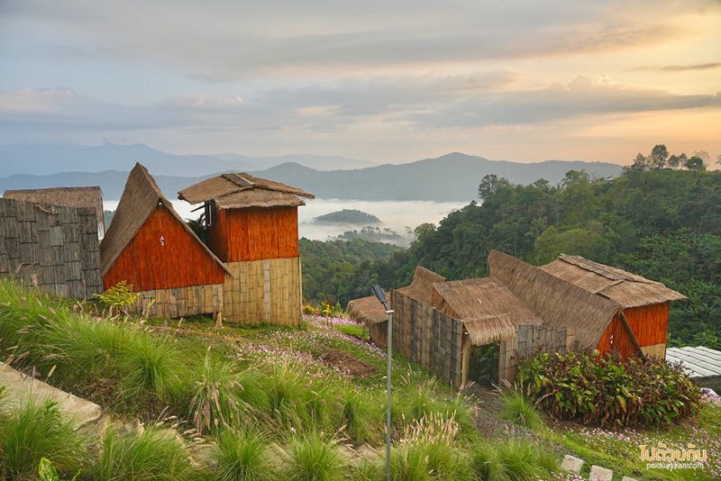 อิงเขา แคมป์ปิ้ง, ดอยม่อนเงาะ, ม่อนเงาะ, เที่ยวแม่แตง, ที่พักม่อนเงาะ, อิงเขาแคมป์ปิ้งวิว ม่อนเงาะ วิวสวย มีอ่างน้ำ ชมหมอกสุดปัง