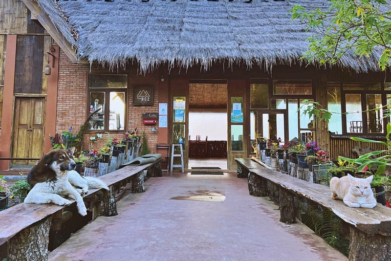 ดอยช้าง, ดอยล้าน, ที่พักดอยช้าง, ที่พักดอยช้าง 2022, ที่พักดอยช้าง 2023, ที่พักดอยช้าง 2565, ที่พักดอยช้าง 2566, ที่พักดอยช้าง ดอยล้าน, ที่พักดอยช้าง สวยๆ, ที่พักดอยล้าน, ที่พักดอยล้าน 2022, ที่พักดอยล้าน 2565, ที่พักเชียงราย, ที่พักเชียงราย แนะนำ, top 10+ ที่พัก ดอยช้าง ดอยล้าน [กรกฎาคม 2024] กลางคืนดูดาว เช้าดูทะเลหมอก