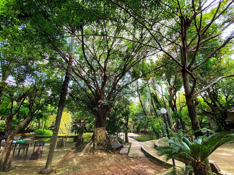 ร้านอาหารบรรยากาศดี โคราช : รวมร้านอาหารสวยๆ บรรยากาศดีน่านั่ง และถ่ายรูปสวยๆ อวดเพื่อน!