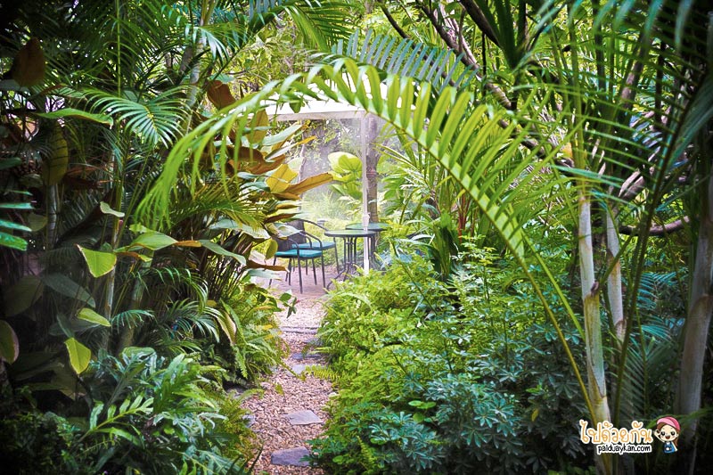 ร้านอาหารกาญจนบุรี, คาเฟ่กาญจนบุรี, rainforest café กาญจนบุรี, rainforest café กาญจนบุรี คาเฟ่ในสายหมอก ท่ามกลางสวนป่า