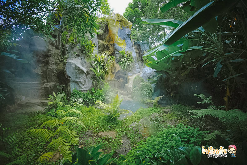 ร้านอาหารกาญจนบุรี, คาเฟ่กาญจนบุรี, rainforest café กาญจนบุรี, rainforest café กาญจนบุรี คาเฟ่ในสายหมอก ท่ามกลางสวนป่า