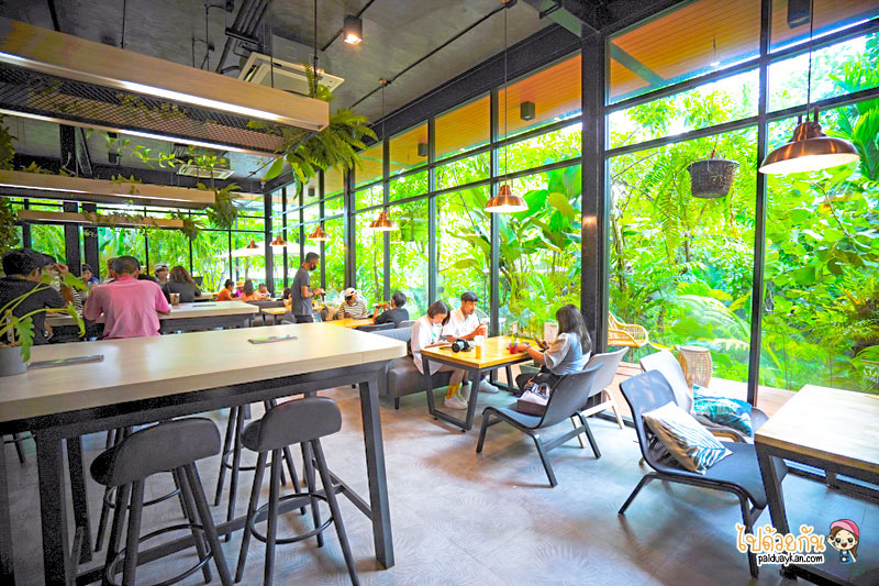 ร้านอาหารกาญจนบุรี, คาเฟ่กาญจนบุรี, rainforest café กาญจนบุรี, rainforest café กาญจนบุรี คาเฟ่ในสายหมอก ท่ามกลางสวนป่า