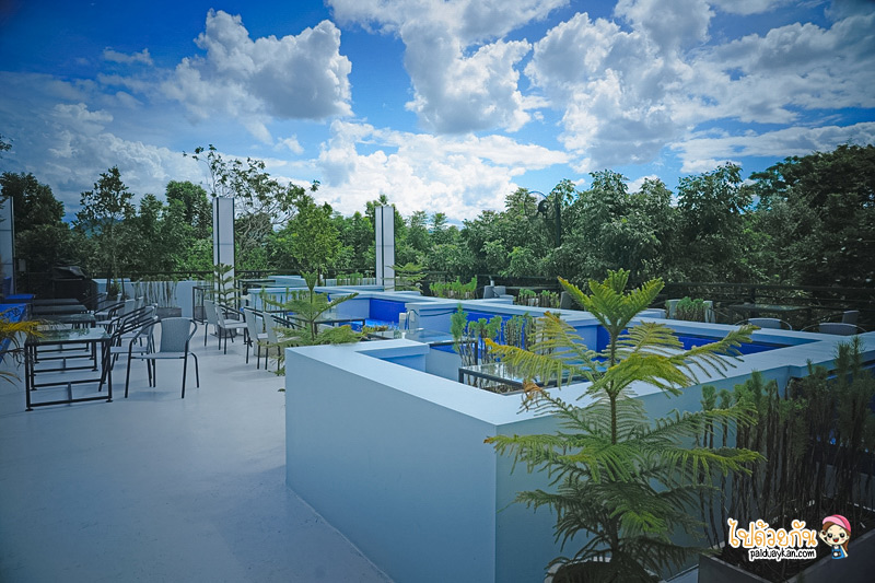 ร้านอาหารกาญจนบุรี, คาเฟ่กาญจนบุรี, rainforest café กาญจนบุรี, rainforest café กาญจนบุรี คาเฟ่ในสายหมอก ท่ามกลางสวนป่า