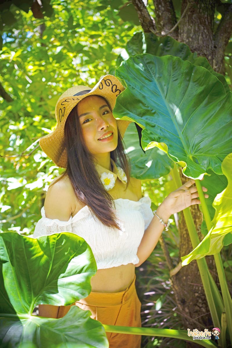 ร้านอาหารกาญจนบุรี, คาเฟ่กาญจนบุรี, rainforest café กาญจนบุรี, rainforest café กาญจนบุรี คาเฟ่ในสายหมอก ท่ามกลางสวนป่า