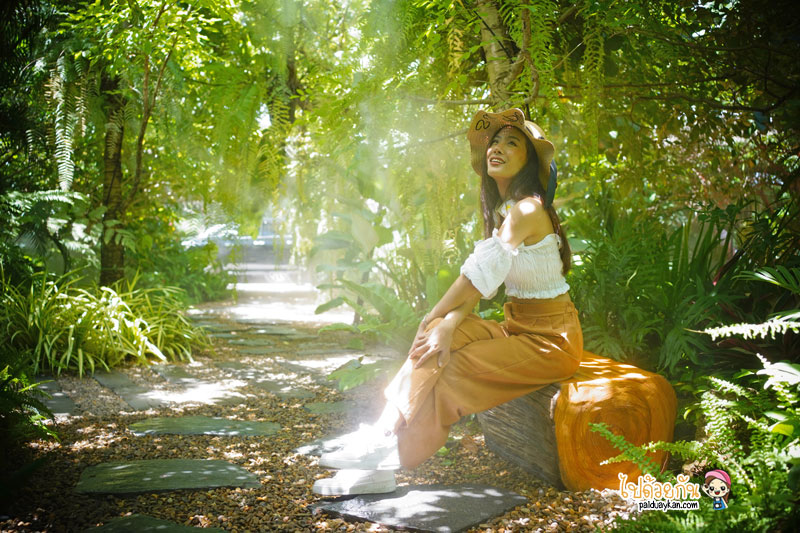 ร้านอาหารกาญจนบุรี, คาเฟ่กาญจนบุรี, rainforest café กาญจนบุรี, rainforest café กาญจนบุรี คาเฟ่ในสายหมอก ท่ามกลางสวนป่า