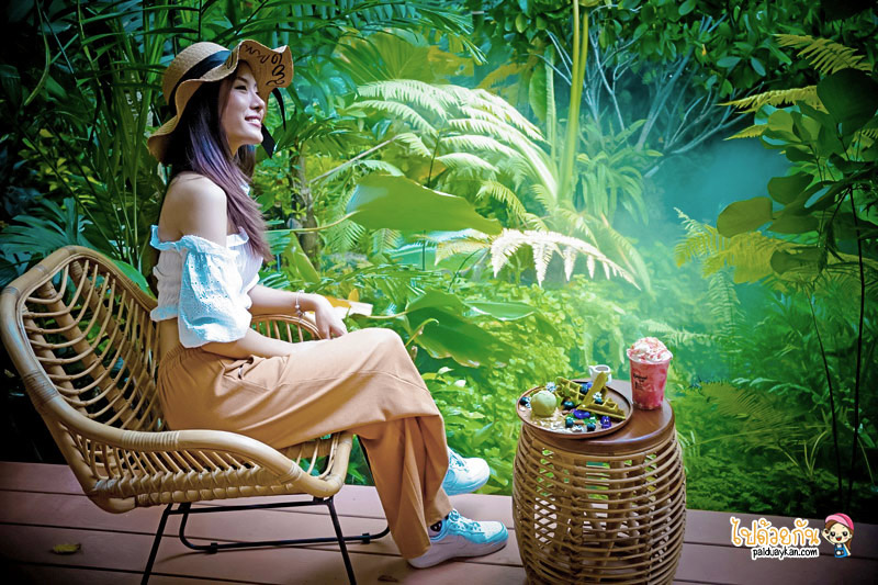 ร้านอาหารกาญจนบุรี, คาเฟ่กาญจนบุรี, rainforest café กาญจนบุรี, rainforest café กาญจนบุรี คาเฟ่ในสายหมอก ท่ามกลางสวนป่า
