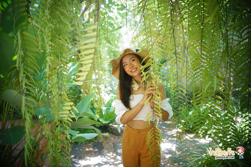 ร้านอาหารกาญจนบุรี, คาเฟ่กาญจนบุรี, rainforest café กาญจนบุรี, rainforest café กาญจนบุรี คาเฟ่ในสายหมอก ท่ามกลางสวนป่า