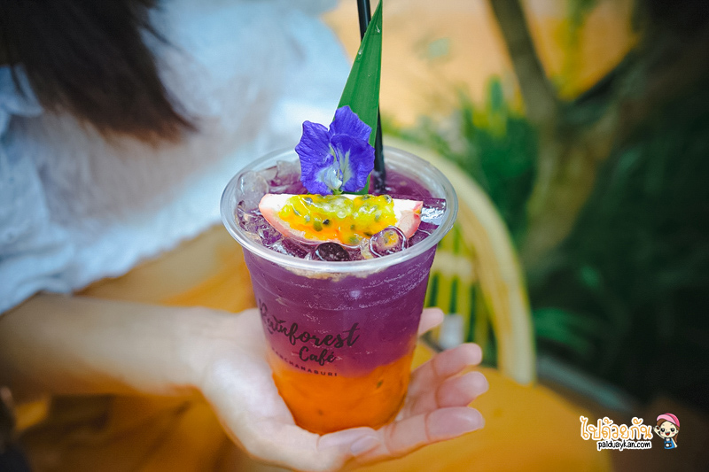 ร้านอาหารกาญจนบุรี, คาเฟ่กาญจนบุรี, rainforest café กาญจนบุรี, rainforest café กาญจนบุรี คาเฟ่ในสายหมอก ท่ามกลางสวนป่า