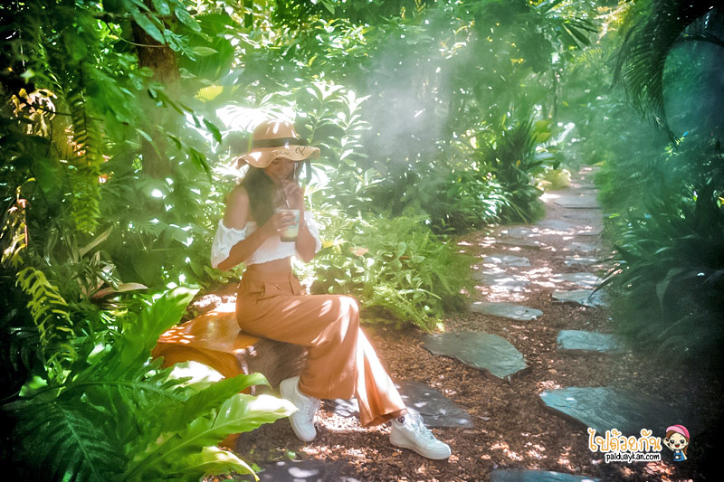 ร้านอาหารกาญจนบุรี, คาเฟ่กาญจนบุรี, rainforest café กาญจนบุรี, rainforest café กาญจนบุรี คาเฟ่ในสายหมอก ท่ามกลางสวนป่า