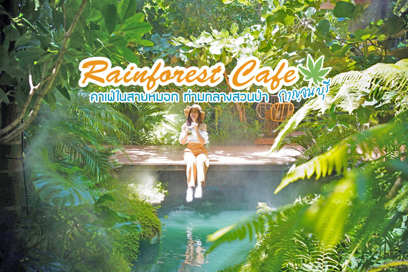 ร้านอาหารกาญจนบุรี, คาเฟ่กาญจนบุรี, rainforest café กาญจนบุรี, rainforest café กาญจนบุรี คาเฟ่ในสายหมอก ท่ามกลางสวนป่า