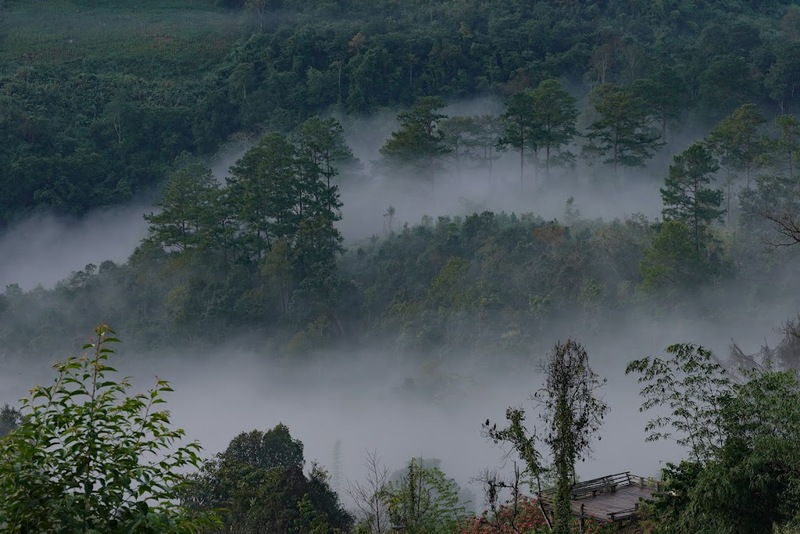 akha framville, กลอเซโล, ดอยเสมอดาว, ทะเลสวยระดับโลก, ทะเลหมอกสองแผ่นดิน, ที่เที่ยว 2023, ที่เที่ยว 2566, ที่เที่ยวยอดฮิต 2023, ที่เที่ยวยอดฮิต 2566, บ้านนาเลาใหม่, บ้านรักไทย, บ้านแม่ออ, พระนครศรีอยุธยา, ภูทับเบิก, ภูเก็ต, วัดมหาธาตุ, หมู่บ้านชาวมอแกน, หมู่บ้านสะปัน, หาดฟรีด้อม, อาข่าฟาร์ม, อุทยานแห่งชาติหมู่เกาะสุรินทร์, เกาะกระดาน, เกาะล้าน, เกาะสมุย, เขาช่องลม, เขาช้างเผือก, เขาใหญ่, เที่ยวที่ไหนดี, เที่ยวไทย 2023, เที่ยวไทย 2566, เที่ยวไหนดี, เที่ยวไหนดี ? 15 ที่เที่ยวยอดฮิต [กรกฎาคม 2024] เดินทางทั่วไทย สัมผัสความสวยงาม ที่ไม่ควรพลาด