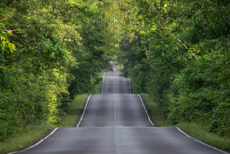 akha framville, กลอเซโล, ดอยเสมอดาว, ทะเลสวยระดับโลก, ทะเลหมอกสองแผ่นดิน, ที่เที่ยว 2023, ที่เที่ยว 2566, ที่เที่ยวยอดฮิต 2023, ที่เที่ยวยอดฮิต 2566, บ้านนาเลาใหม่, บ้านรักไทย, บ้านแม่ออ, พระนครศรีอยุธยา, ภูทับเบิก, ภูเก็ต, วัดมหาธาตุ, หมู่บ้านชาวมอแกน, หมู่บ้านสะปัน, หาดฟรีด้อม, อาข่าฟาร์ม, อุทยานแห่งชาติหมู่เกาะสุรินทร์, เกาะกระดาน, เกาะล้าน, เกาะสมุย, เขาช่องลม, เขาช้างเผือก, เขาใหญ่, เที่ยวที่ไหนดี, เที่ยวไทย 2023, เที่ยวไทย 2566, เที่ยวไหนดี, เที่ยวไหนดี ? 15 ที่เที่ยวยอดฮิต [กรกฎาคม 2024] เดินทางทั่วไทย สัมผัสความสวยงาม ที่ไม่ควรพลาด