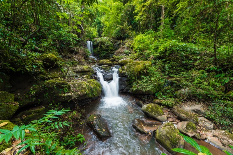 akha framville, กลอเซโล, ดอยเสมอดาว, ทะเลสวยระดับโลก, ทะเลหมอกสองแผ่นดิน, ที่เที่ยว 2023, ที่เที่ยว 2566, ที่เที่ยวยอดฮิต 2023, ที่เที่ยวยอดฮิต 2566, บ้านนาเลาใหม่, บ้านรักไทย, บ้านแม่ออ, พระนครศรีอยุธยา, ภูทับเบิก, ภูเก็ต, วัดมหาธาตุ, หมู่บ้านชาวมอแกน, หมู่บ้านสะปัน, หาดฟรีด้อม, อาข่าฟาร์ม, อุทยานแห่งชาติหมู่เกาะสุรินทร์, เกาะกระดาน, เกาะล้าน, เกาะสมุย, เขาช่องลม, เขาช้างเผือก, เขาใหญ่, เที่ยวที่ไหนดี, เที่ยวไทย 2023, เที่ยวไทย 2566, เที่ยวไหนดี, เที่ยวไหนดี ? 15 ที่เที่ยวยอดฮิต [กรกฎาคม 2024] เดินทางทั่วไทย สัมผัสความสวยงาม ที่ไม่ควรพลาด