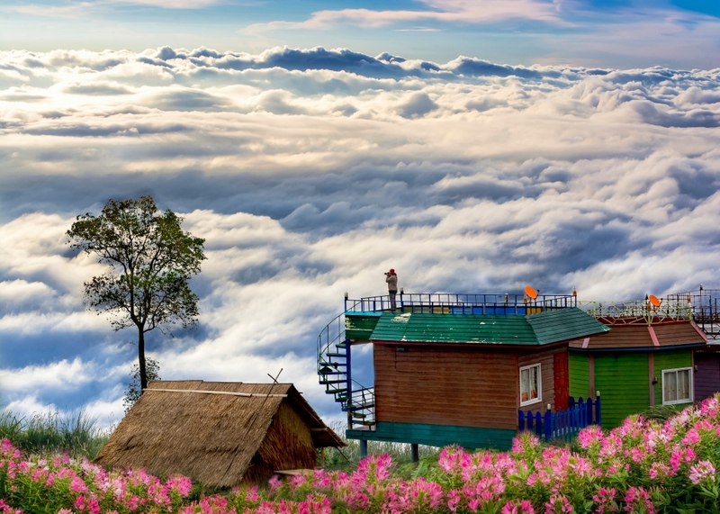 akha framville, กลอเซโล, ดอยเสมอดาว, ทะเลสวยระดับโลก, ทะเลหมอกสองแผ่นดิน, ที่เที่ยว 2023, ที่เที่ยว 2566, ที่เที่ยวยอดฮิต 2023, ที่เที่ยวยอดฮิต 2566, บ้านนาเลาใหม่, บ้านรักไทย, บ้านแม่ออ, พระนครศรีอยุธยา, ภูทับเบิก, ภูเก็ต, วัดมหาธาตุ, หมู่บ้านชาวมอแกน, หมู่บ้านสะปัน, หาดฟรีด้อม, อาข่าฟาร์ม, อุทยานแห่งชาติหมู่เกาะสุรินทร์, เกาะกระดาน, เกาะล้าน, เกาะสมุย, เขาช่องลม, เขาช้างเผือก, เขาใหญ่, เที่ยวที่ไหนดี, เที่ยวไทย 2023, เที่ยวไทย 2566, เที่ยวไหนดี, เที่ยวไหนดี ? 15 ที่เที่ยวยอดฮิต [กรกฎาคม 2024] เดินทางทั่วไทย สัมผัสความสวยงาม ที่ไม่ควรพลาด