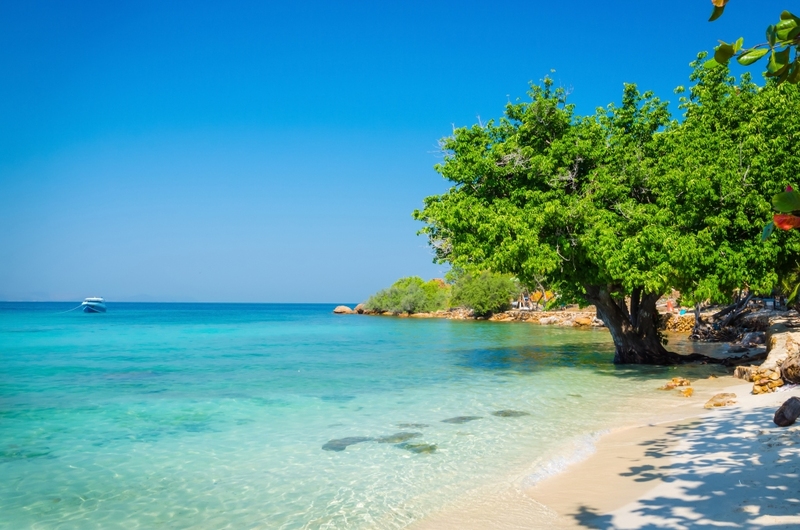 akha framville, กลอเซโล, ดอยเสมอดาว, ทะเลสวยระดับโลก, ทะเลหมอกสองแผ่นดิน, ที่เที่ยว 2023, ที่เที่ยว 2566, ที่เที่ยวยอดฮิต 2023, ที่เที่ยวยอดฮิต 2566, บ้านนาเลาใหม่, บ้านรักไทย, บ้านแม่ออ, พระนครศรีอยุธยา, ภูทับเบิก, ภูเก็ต, วัดมหาธาตุ, หมู่บ้านชาวมอแกน, หมู่บ้านสะปัน, หาดฟรีด้อม, อาข่าฟาร์ม, อุทยานแห่งชาติหมู่เกาะสุรินทร์, เกาะกระดาน, เกาะล้าน, เกาะสมุย, เขาช่องลม, เขาช้างเผือก, เขาใหญ่, เที่ยวที่ไหนดี, เที่ยวไทย 2023, เที่ยวไทย 2566, เที่ยวไหนดี, เที่ยวไหนดี ? 15 ที่เที่ยวยอดฮิต [กรกฎาคม 2024] เดินทางทั่วไทย สัมผัสความสวยงาม ที่ไม่ควรพลาด