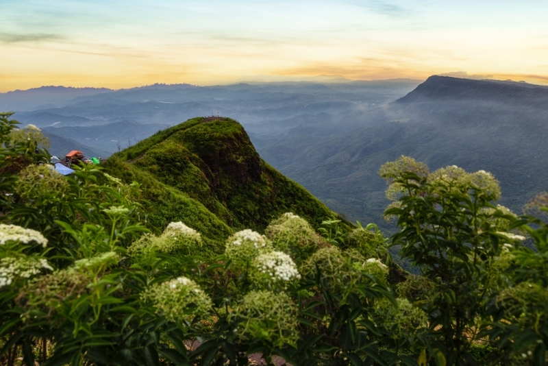 akha framville, กลอเซโล, ดอยเสมอดาว, ทะเลสวยระดับโลก, ทะเลหมอกสองแผ่นดิน, ที่เที่ยว 2023, ที่เที่ยว 2566, ที่เที่ยวยอดฮิต 2023, ที่เที่ยวยอดฮิต 2566, บ้านนาเลาใหม่, บ้านรักไทย, บ้านแม่ออ, พระนครศรีอยุธยา, ภูทับเบิก, ภูเก็ต, วัดมหาธาตุ, หมู่บ้านชาวมอแกน, หมู่บ้านสะปัน, หาดฟรีด้อม, อาข่าฟาร์ม, อุทยานแห่งชาติหมู่เกาะสุรินทร์, เกาะกระดาน, เกาะล้าน, เกาะสมุย, เขาช่องลม, เขาช้างเผือก, เขาใหญ่, เที่ยวที่ไหนดี, เที่ยวไทย 2023, เที่ยวไทย 2566, เที่ยวไหนดี, เที่ยวไหนดี ? 15 ที่เที่ยวยอดฮิต [กรกฎาคม 2024] เดินทางทั่วไทย สัมผัสความสวยงาม ที่ไม่ควรพลาด