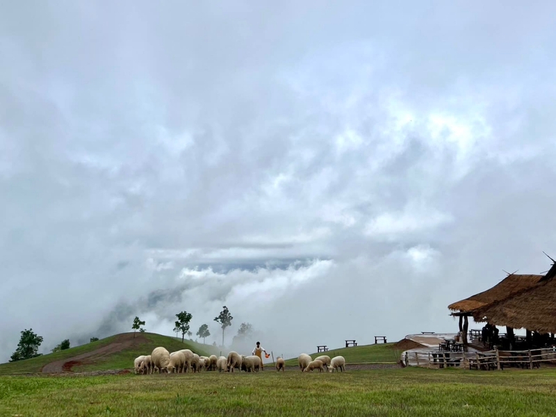 akha framville, กลอเซโล, ดอยเสมอดาว, ทะเลสวยระดับโลก, ทะเลหมอกสองแผ่นดิน, ที่เที่ยว 2023, ที่เที่ยว 2566, ที่เที่ยวยอดฮิต 2023, ที่เที่ยวยอดฮิต 2566, บ้านนาเลาใหม่, บ้านรักไทย, บ้านแม่ออ, พระนครศรีอยุธยา, ภูทับเบิก, ภูเก็ต, วัดมหาธาตุ, หมู่บ้านชาวมอแกน, หมู่บ้านสะปัน, หาดฟรีด้อม, อาข่าฟาร์ม, อุทยานแห่งชาติหมู่เกาะสุรินทร์, เกาะกระดาน, เกาะล้าน, เกาะสมุย, เขาช่องลม, เขาช้างเผือก, เขาใหญ่, เที่ยวที่ไหนดี, เที่ยวไทย 2023, เที่ยวไทย 2566, เที่ยวไหนดี, เที่ยวไหนดี ? 15 ที่เที่ยวยอดฮิต [กรกฎาคม 2024] เดินทางทั่วไทย สัมผัสความสวยงาม ที่ไม่ควรพลาด
