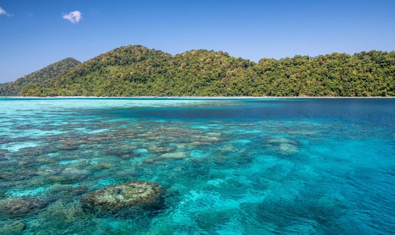 akha framville, กลอเซโล, ดอยเสมอดาว, ทะเลสวยระดับโลก, ทะเลหมอกสองแผ่นดิน, ที่เที่ยว 2023, ที่เที่ยว 2566, ที่เที่ยวยอดฮิต 2023, ที่เที่ยวยอดฮิต 2566, บ้านนาเลาใหม่, บ้านรักไทย, บ้านแม่ออ, พระนครศรีอยุธยา, ภูทับเบิก, ภูเก็ต, วัดมหาธาตุ, หมู่บ้านชาวมอแกน, หมู่บ้านสะปัน, หาดฟรีด้อม, อาข่าฟาร์ม, อุทยานแห่งชาติหมู่เกาะสุรินทร์, เกาะกระดาน, เกาะล้าน, เกาะสมุย, เขาช่องลม, เขาช้างเผือก, เขาใหญ่, เที่ยวที่ไหนดี, เที่ยวไทย 2023, เที่ยวไทย 2566, เที่ยวไหนดี, เที่ยวไหนดี ? 15 ที่เที่ยวยอดฮิต [กรกฎาคม 2024] เดินทางทั่วไทย สัมผัสความสวยงาม ที่ไม่ควรพลาด