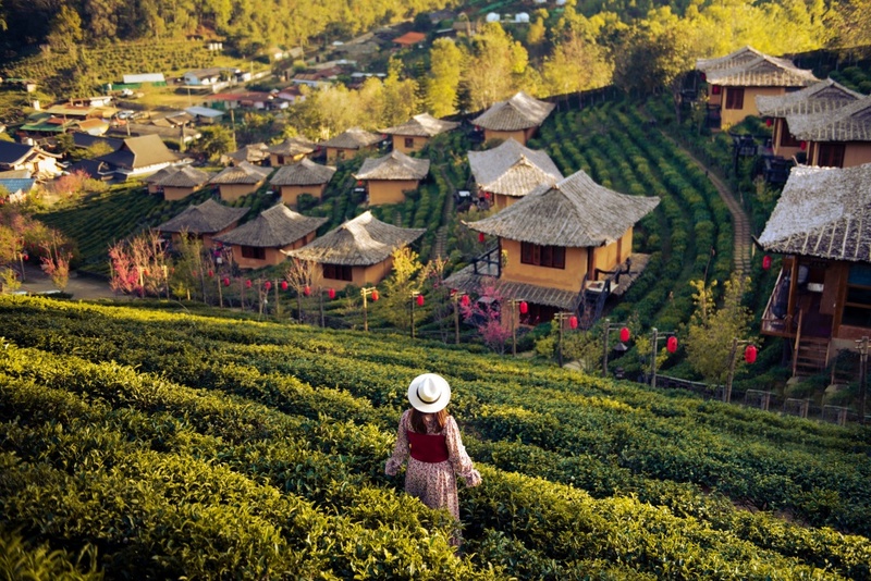 akha framville, กลอเซโล, ดอยเสมอดาว, ทะเลสวยระดับโลก, ทะเลหมอกสองแผ่นดิน, ที่เที่ยว 2023, ที่เที่ยว 2566, ที่เที่ยวยอดฮิต 2023, ที่เที่ยวยอดฮิต 2566, บ้านนาเลาใหม่, บ้านรักไทย, บ้านแม่ออ, พระนครศรีอยุธยา, ภูทับเบิก, ภูเก็ต, วัดมหาธาตุ, หมู่บ้านชาวมอแกน, หมู่บ้านสะปัน, หาดฟรีด้อม, อาข่าฟาร์ม, อุทยานแห่งชาติหมู่เกาะสุรินทร์, เกาะกระดาน, เกาะล้าน, เกาะสมุย, เขาช่องลม, เขาช้างเผือก, เขาใหญ่, เที่ยวที่ไหนดี, เที่ยวไทย 2023, เที่ยวไทย 2566, เที่ยวไหนดี, เที่ยวไหนดี ? 15 ที่เที่ยวยอดฮิต [กรกฎาคม 2024] เดินทางทั่วไทย สัมผัสความสวยงาม ที่ไม่ควรพลาด