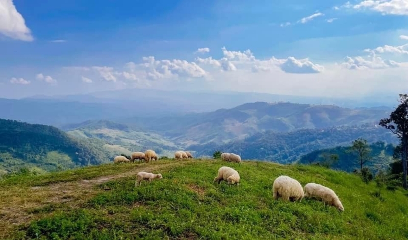 akha framville, กลอเซโล, ดอยเสมอดาว, ทะเลสวยระดับโลก, ทะเลหมอกสองแผ่นดิน, ที่เที่ยว 2023, ที่เที่ยว 2566, ที่เที่ยวยอดฮิต 2023, ที่เที่ยวยอดฮิต 2566, บ้านนาเลาใหม่, บ้านรักไทย, บ้านแม่ออ, พระนครศรีอยุธยา, ภูทับเบิก, ภูเก็ต, วัดมหาธาตุ, หมู่บ้านชาวมอแกน, หมู่บ้านสะปัน, หาดฟรีด้อม, อาข่าฟาร์ม, อุทยานแห่งชาติหมู่เกาะสุรินทร์, เกาะกระดาน, เกาะล้าน, เกาะสมุย, เขาช่องลม, เขาช้างเผือก, เขาใหญ่, เที่ยวที่ไหนดี, เที่ยวไทย 2023, เที่ยวไทย 2566, เที่ยวไหนดี, เที่ยวไหนดี ? 15 ที่เที่ยวยอดฮิต [กรกฎาคม 2024] เดินทางทั่วไทย สัมผัสความสวยงาม ที่ไม่ควรพลาด