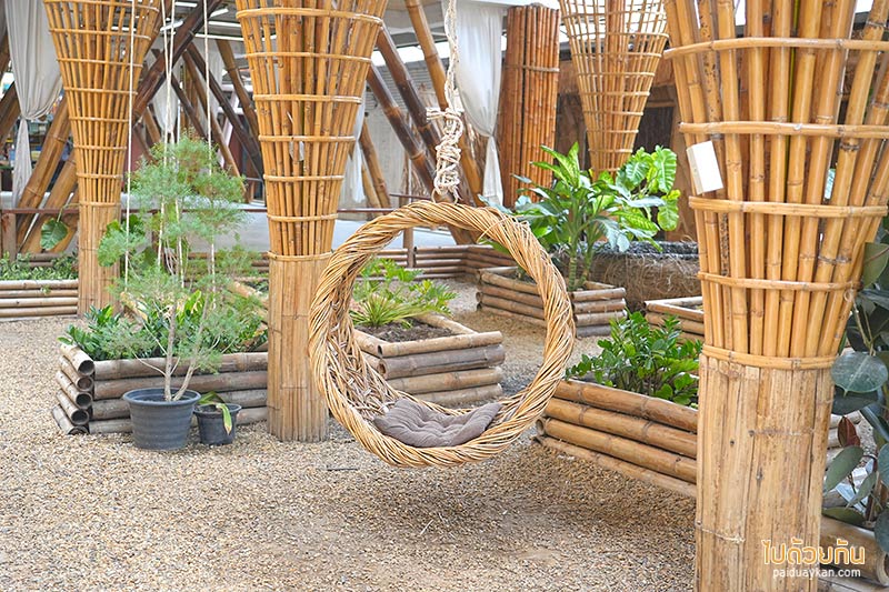 อยุธยา, คาเฟ่อยุธยา, เที่ยวอยุธยา, ayotthaya cafe  อโยธยา คาเฟ่ช้างอยุธยา จิบกาแฟชมเจดีย์ ปิคนิคถ่ายรูปให้อาหารช้าง