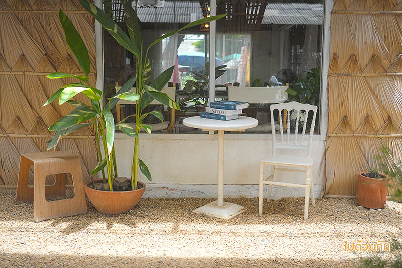 อยุธยา, คาเฟ่อยุธยา, เที่ยวอยุธยา, ayotthaya cafe  อโยธยา คาเฟ่ช้างอยุธยา จิบกาแฟชมเจดีย์ ปิคนิคถ่ายรูปให้อาหารช้าง